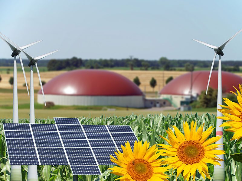 Informationen zur Energieversorgung für den Bereich Biogas-, Erdgasanlagen und Blockheizkraftwerken mit innovativen Energien wie Holzpellets oder Holzhackschnitzel gibts auf der EnergyDecentral Hannover.